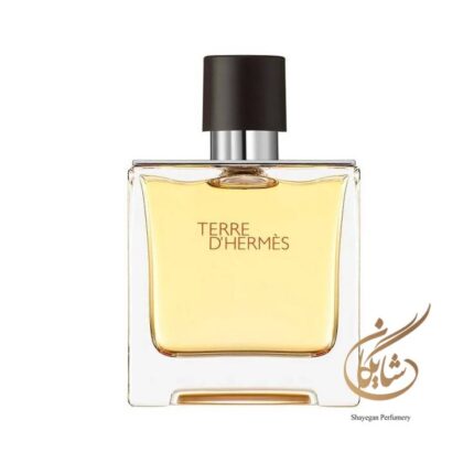 پرفیوم مردانه هرمس تق هرمس _ Hermes Terre d'Hermès Parfum