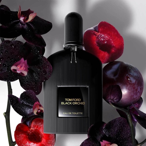 بهترین عطرهای 2025