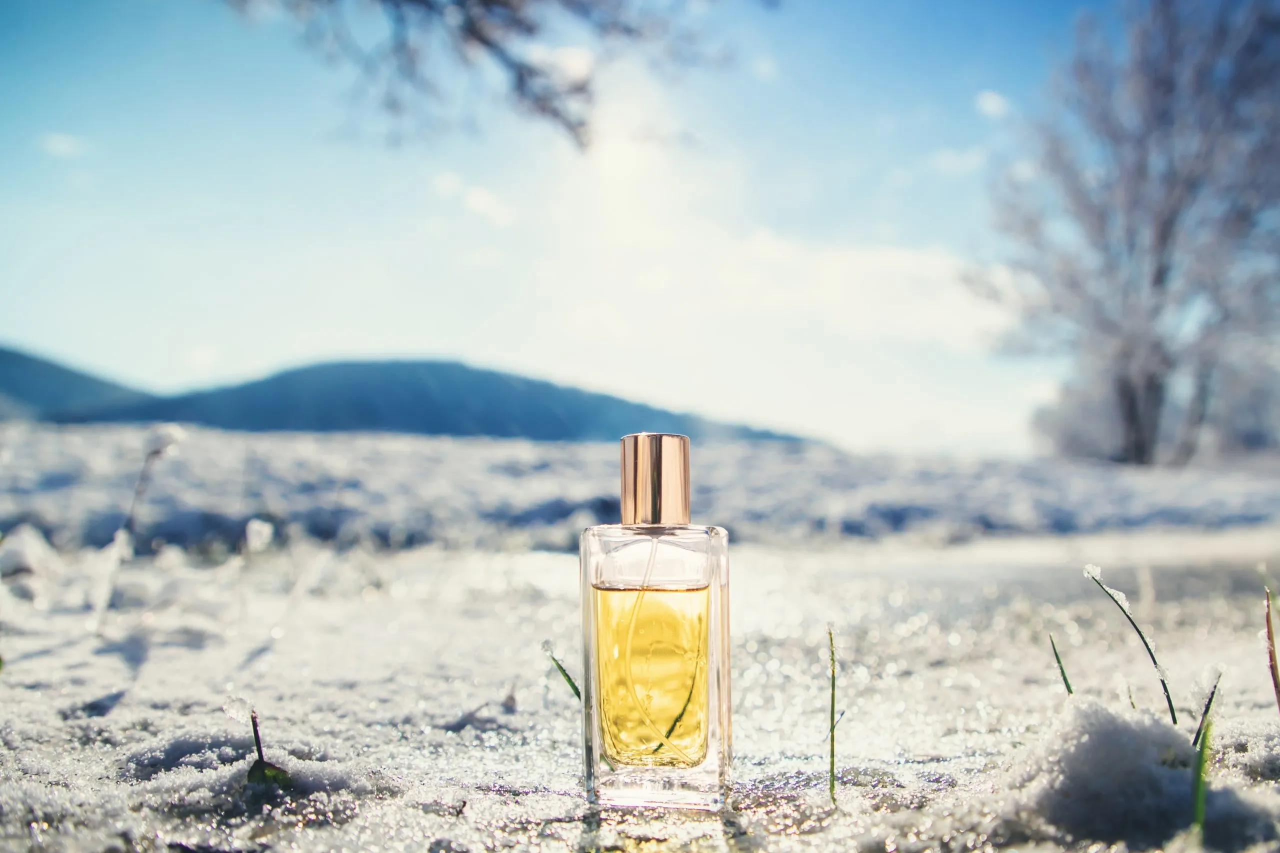 بهترین عطر زمستانه زنانه