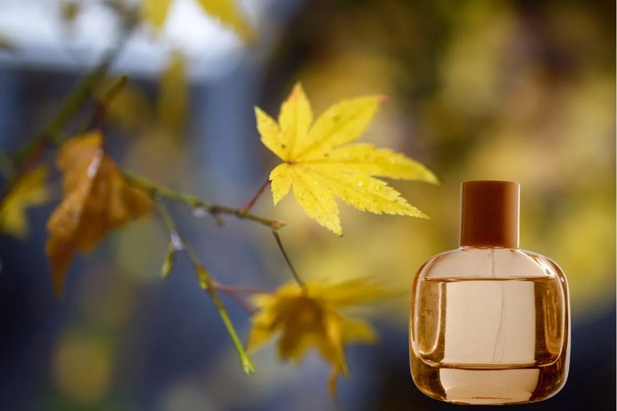 چگونه عطر مناسب هر فصل را انتخاب کنیم
